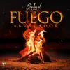 Gabriel Ramos - Fuego Abrazador - Single